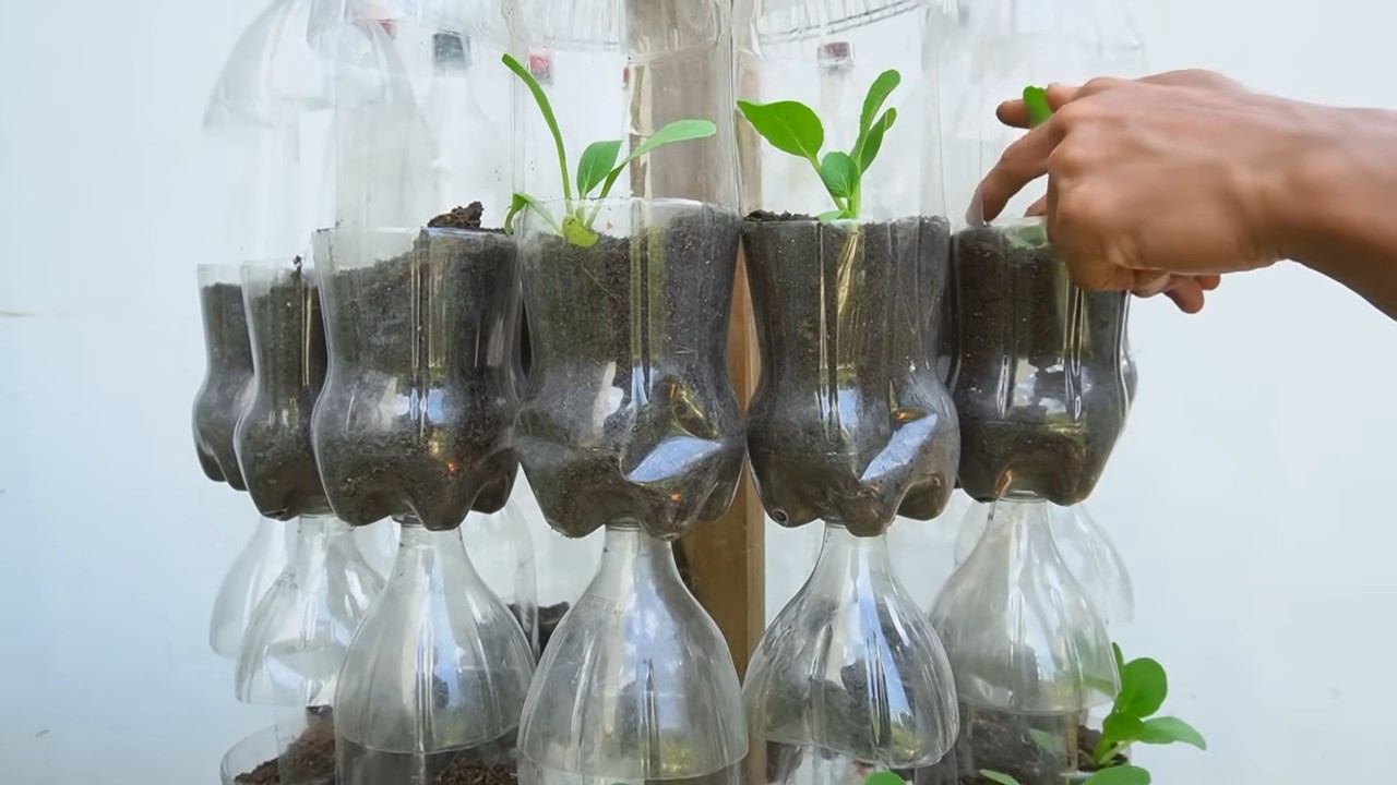 DIY plastic bottle planters
