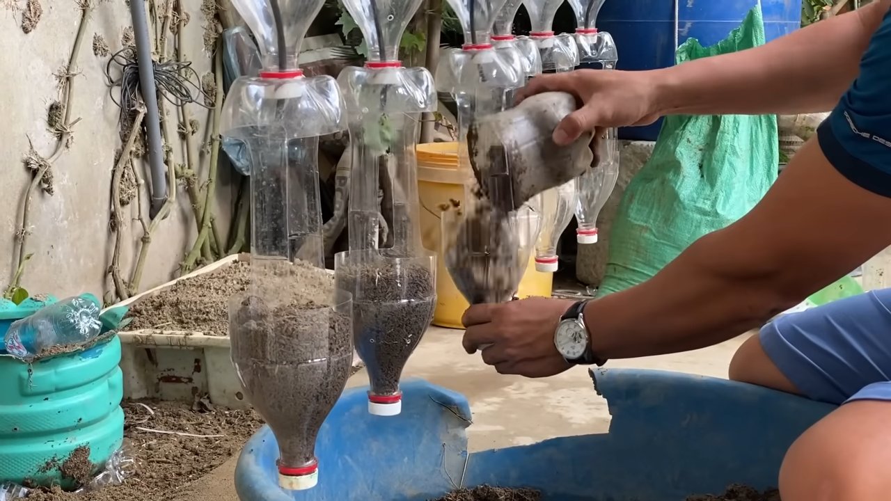 DIY Strawberry Hanging Garden