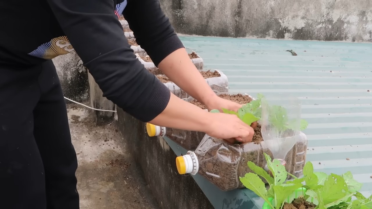 Year Round Vegetable Gardening