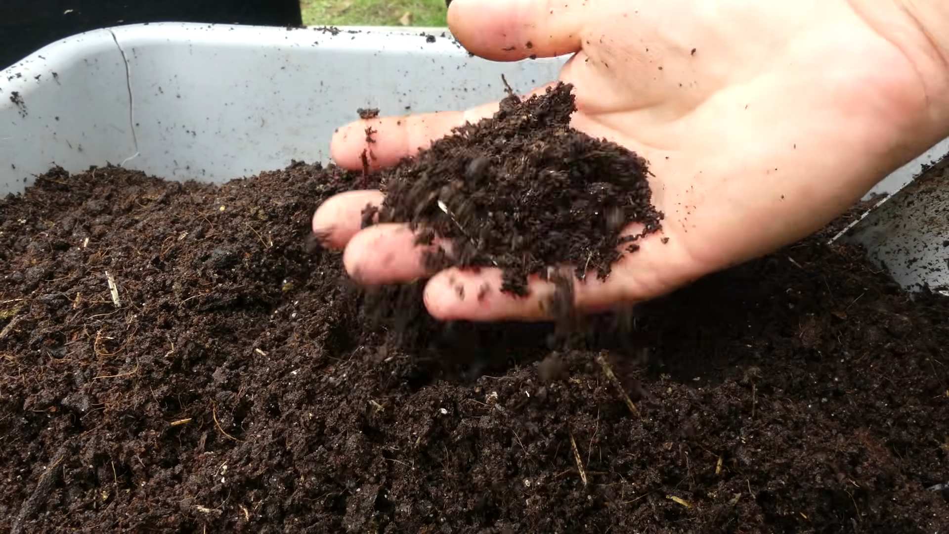 Grow Carrots in Containers