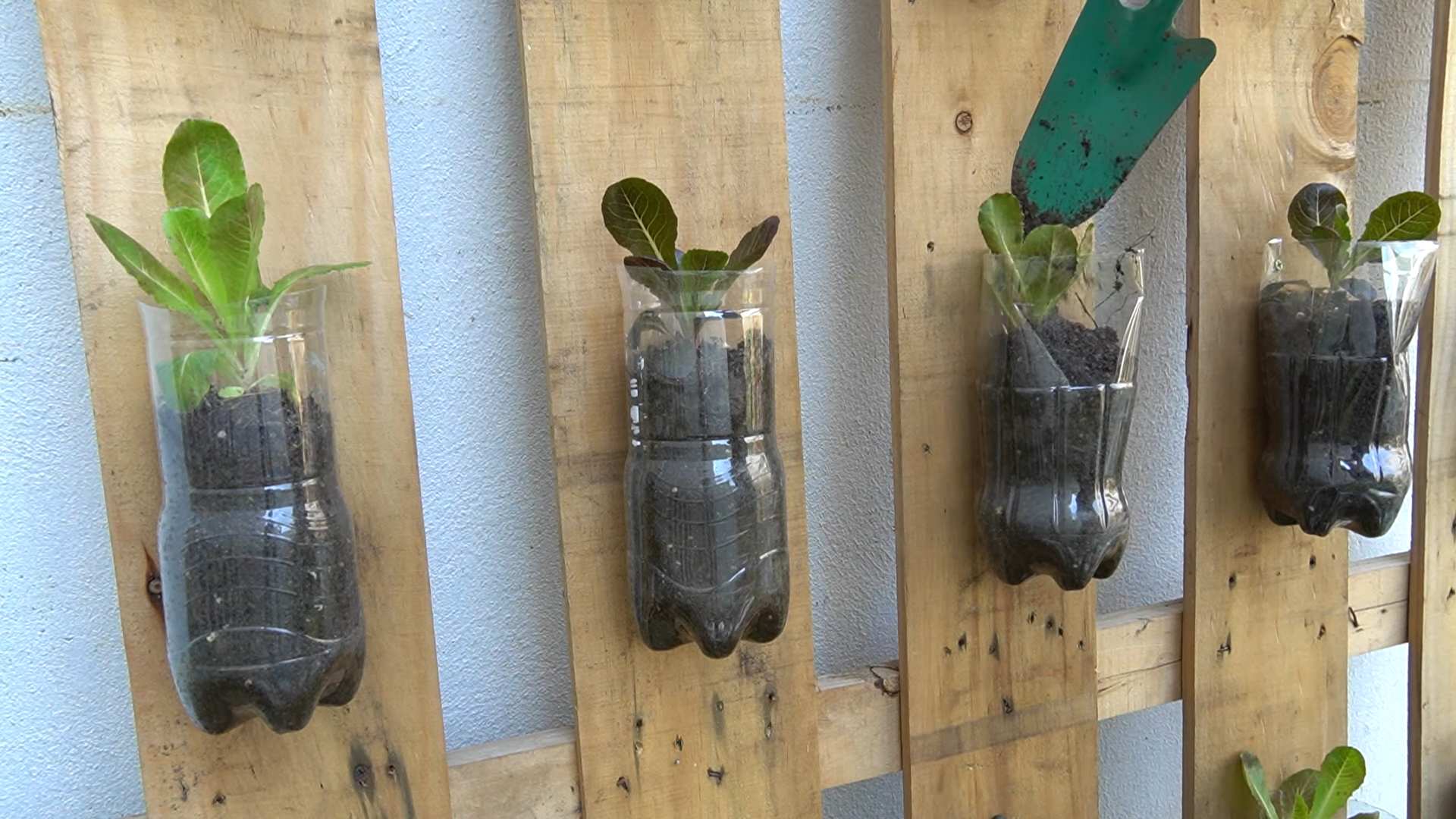 DIY plastic garden