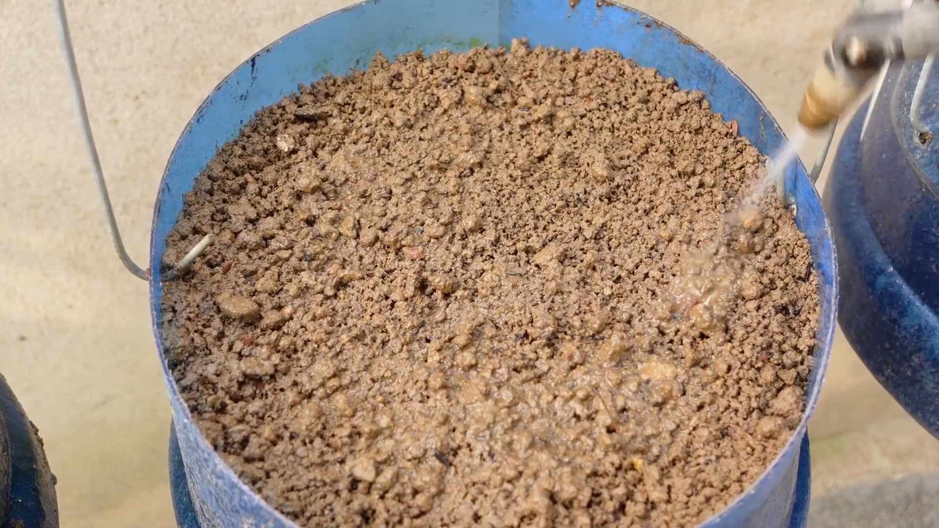 Easiest vegetables to grow